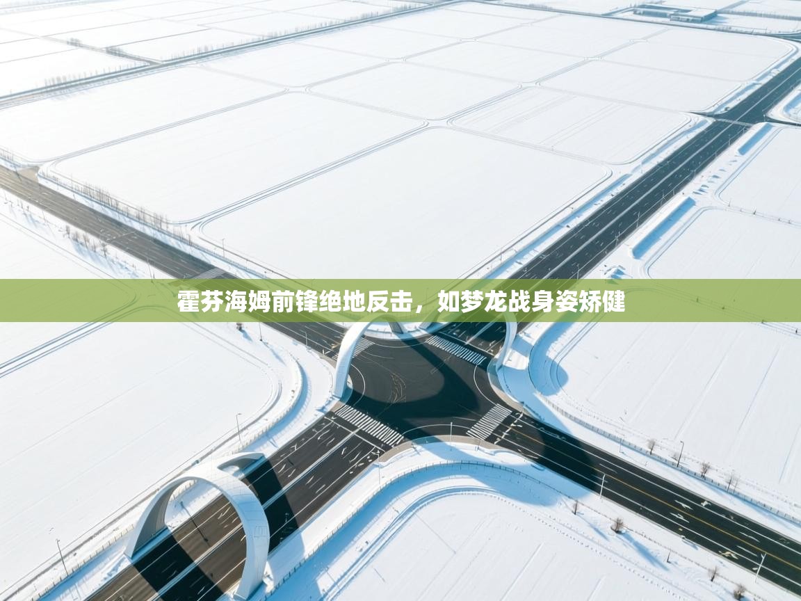 霍芬海姆前锋绝地反击,如梦龙战身姿矫健 第1张