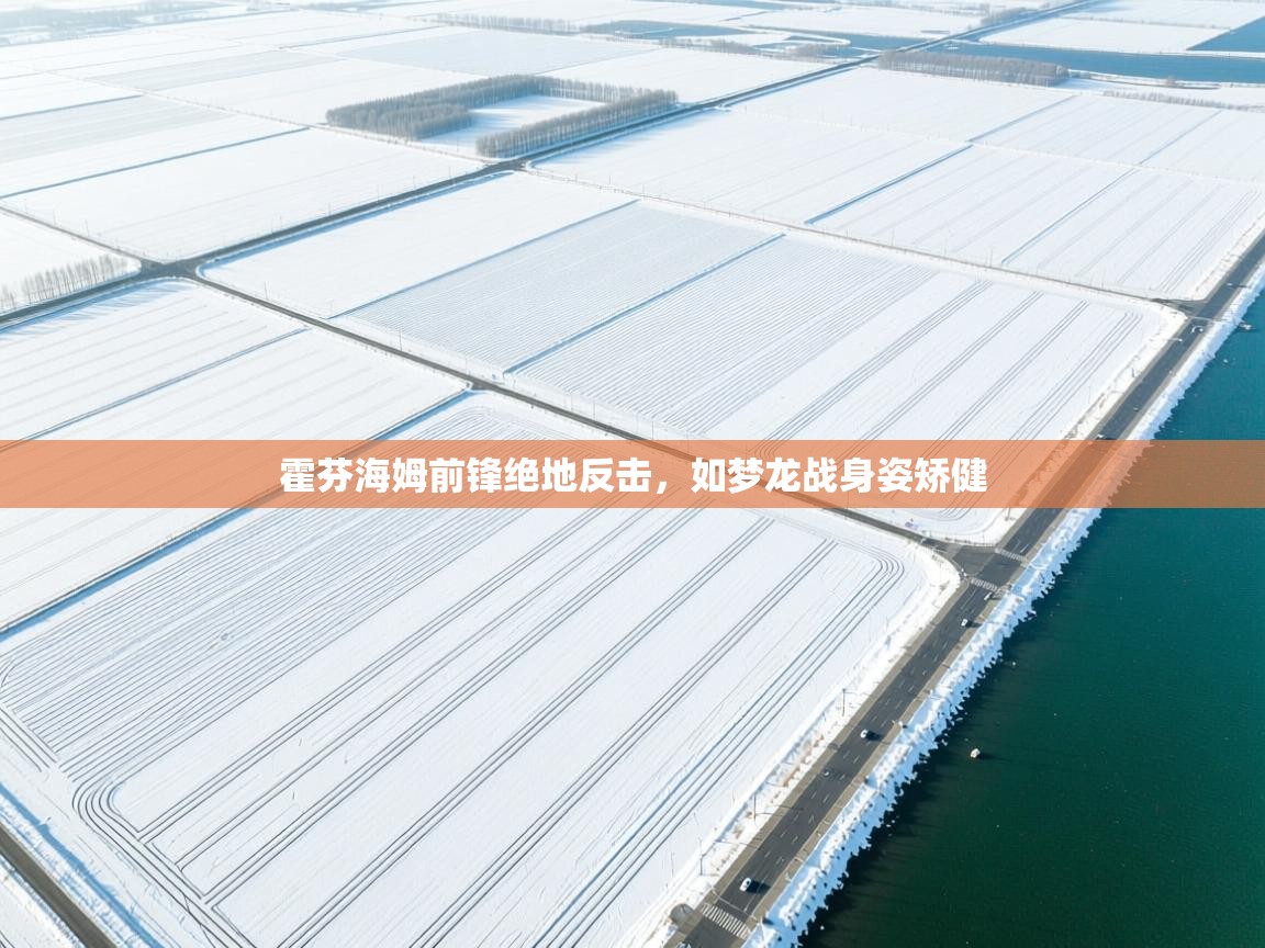 霍芬海姆前锋绝地反击,如梦龙战身姿矫健 第2张